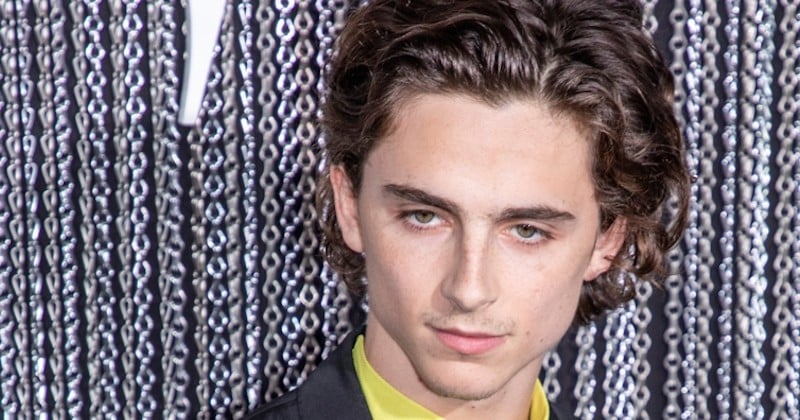 Timothée Chalamet retrouve déjà l'amour deux mois après sa rupture avec Lily-Rose Depp