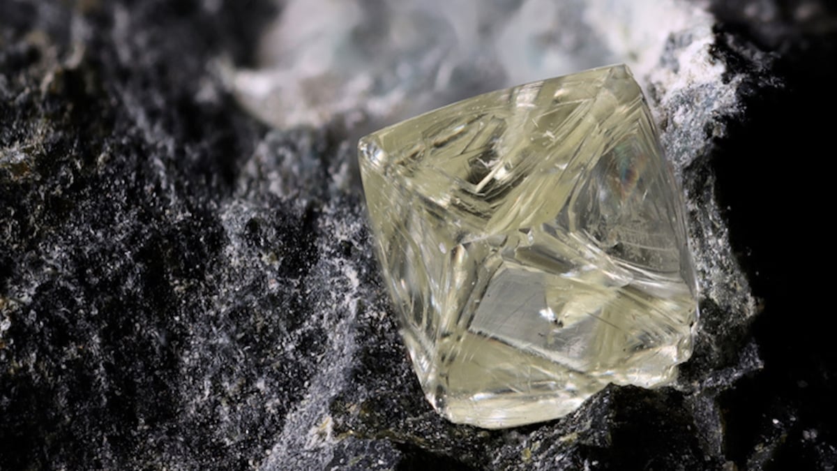 Ils découvrent un diamant d'une valeur inestimable et rêvent de richesse, mais ils vont vite déchanter 