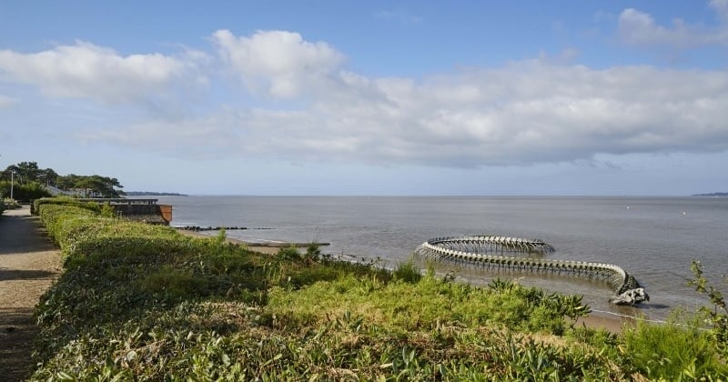 Sur une plage de Loire-Atlantique, le squelette d'un serpent géant de 130 mètres fait sensation