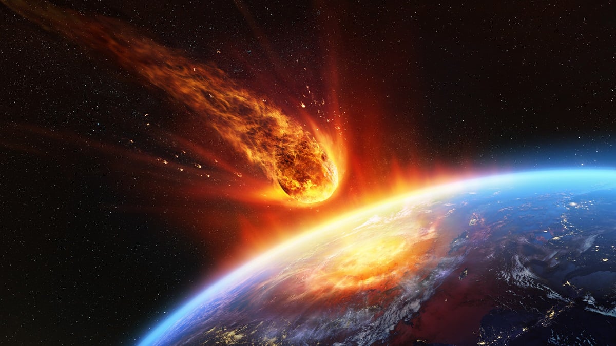 Voici le seul animal capable de survivre à la fin du monde, selon les scientifiques