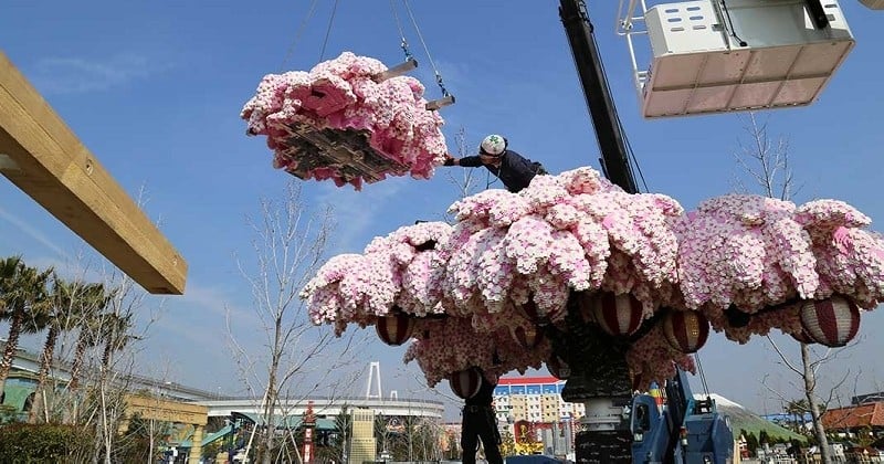 Au Japon, ce cerisier géant est immortel : il a été construit avec plus de 800 000 briques LEGO 