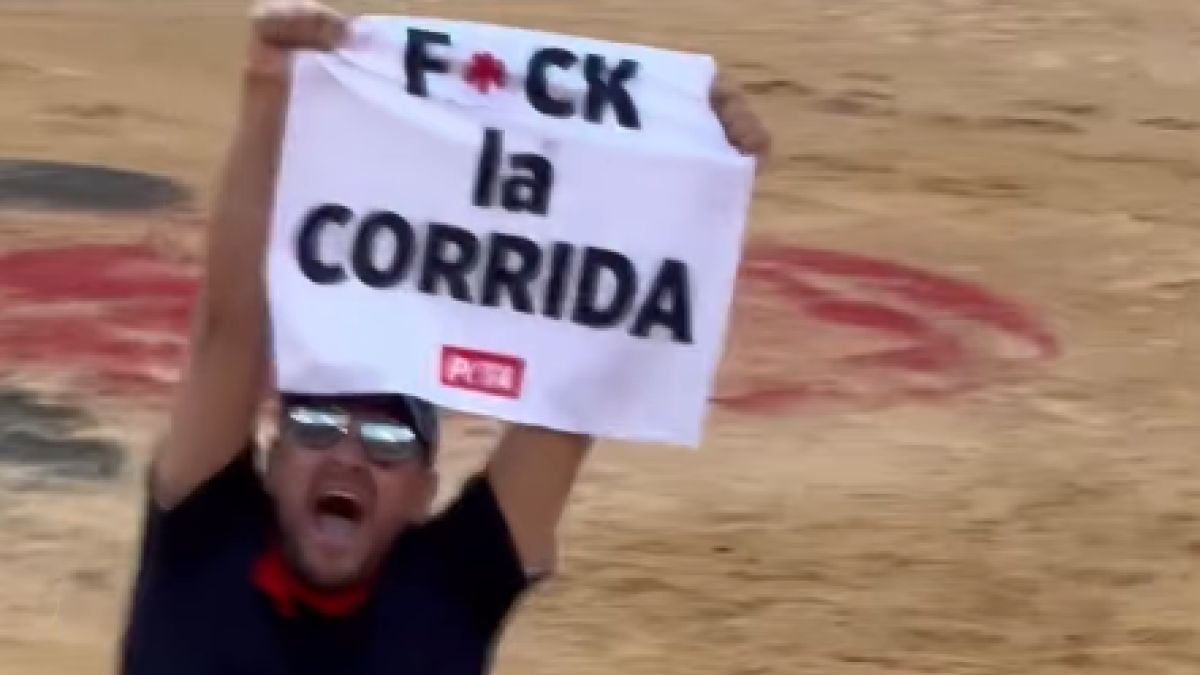VIDÉO : L'influenceur Jeremstar mène une action choc dans les arènes de Nîmes pour dénoncer la corrida, il finit en garde à vue