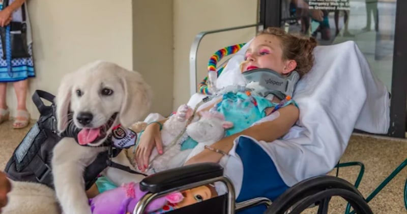 Une fillette paralysée de 6 ans se lie d'amitié avec son futur chien d'assistance