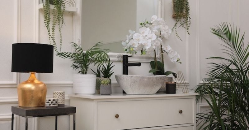 Quelles plantes choisir pour égayer sa salle de bain ?
