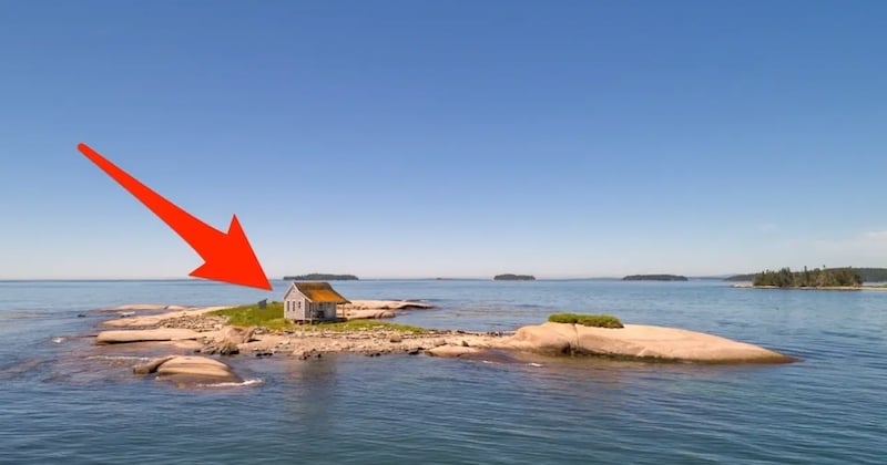 	États-Unis : cette île privée isolée fait le bonheur de sa propriétaire, qui l'a achetée 339 000 dollars