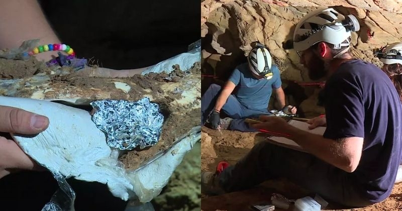 Les ossements d'un lion de 400 kg, datant de 100 000 ans, ont été découverts dans une grotte des Pyrénées-Orientales