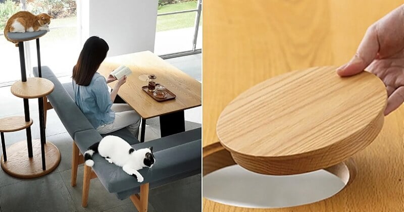 Cette table équipée d'une plateforme et d'un trou permet à votre chat de ne pas être mis à l'écart pendant les repas