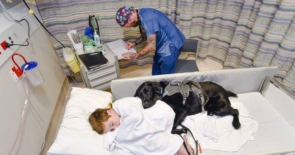 Il était hors de question pour ce chien de laisser son petit maître seul à l'hôpital... Cette histoire va vous émouvoir