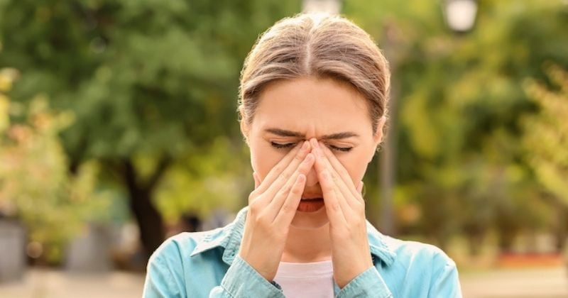 Voici quelques plantes utiles contre les allergies