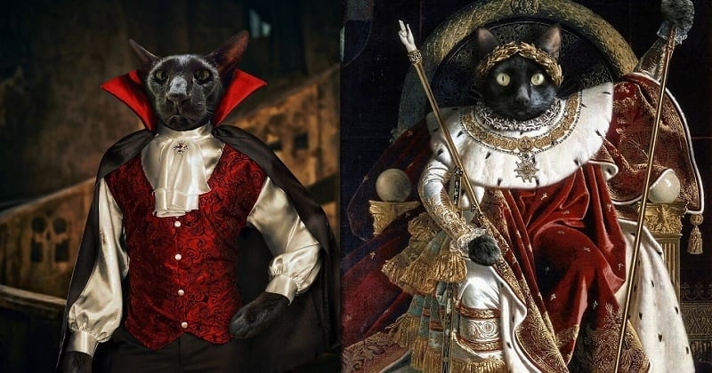Cette artiste transforme des photos de chats en véritables peintures