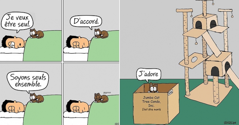 Cet Illustrateur Montre Avec Beaucoup D humour Quel Point La Vie Est 