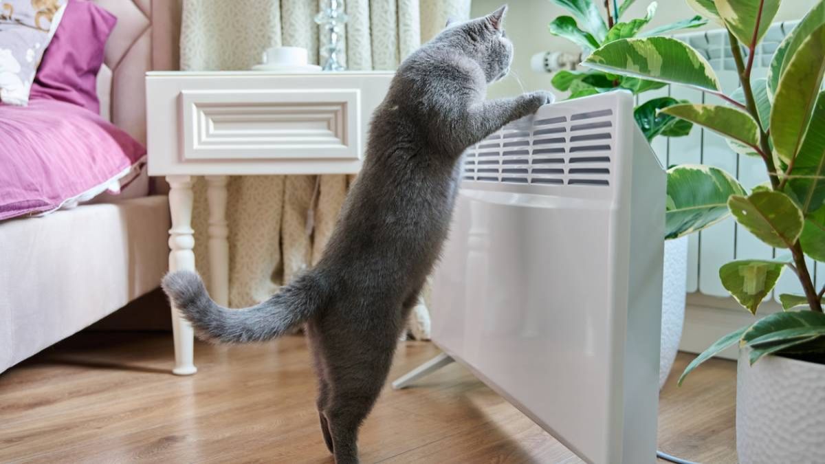 Restez au chaud cet hiver grâce au meilleur radiateur à petit prix livré chez vous sous 24h