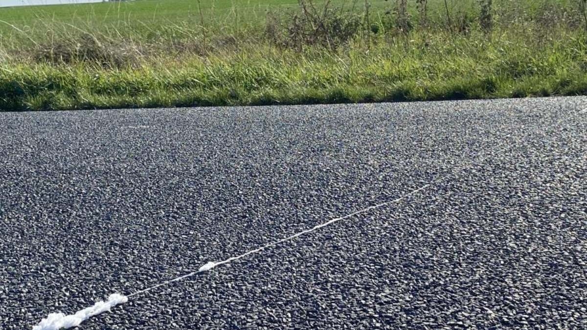 D'où viennent ces étranges filaments blancs qui tombent du ciel un peu partout en France ?