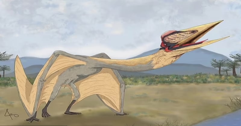 En Argentine, un Dragon de la mort a été découvert par des paléontologues