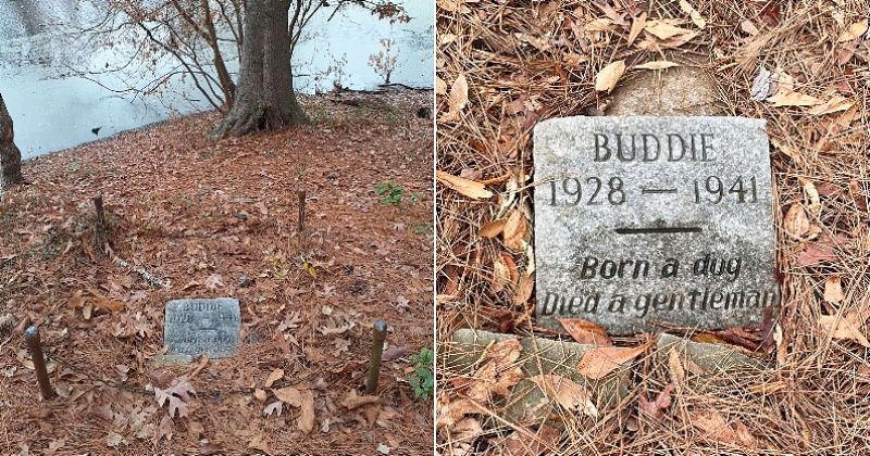 Alors qu'il se promène dans un parc de Louisiane, il découvre la tombe émouvante d'un chien mort il y a 80 ans	