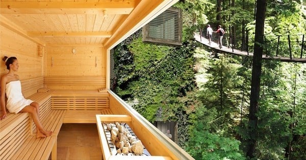 Un architecte néerlandais tente de mettre au point une « forêt urbaine » avec des maisons qui  ressemblent à des arbres !