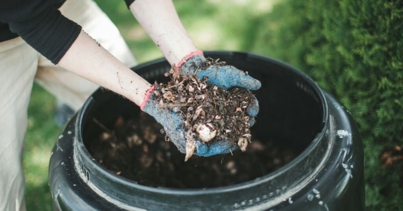 Comment faire du compost de manière simple et efficace pour faire pousser vos plantes ?