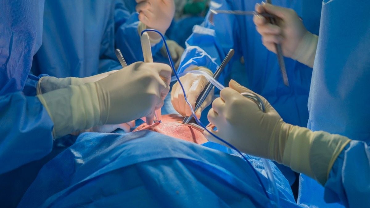 Un poumon de porc a été greffé sur un homme pour la première fois en Chine