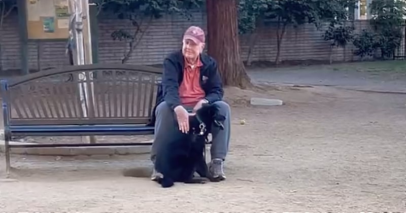 Elle perd son chien dans un parc et le retrouve dans les bras d'un monsieur âgé assis seul sur un banc