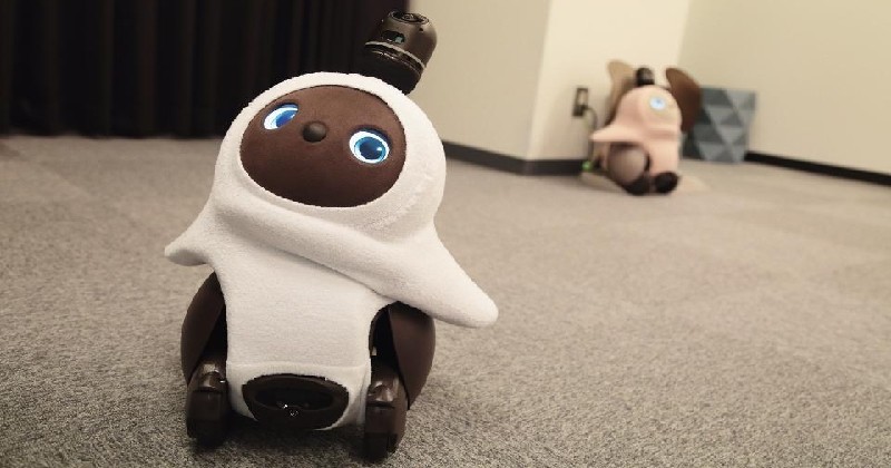 Venez découvrir LOVOT, un robot de compagnie adorable et mignon !