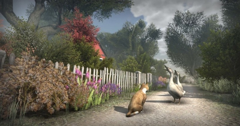 Peace Island : un nouveau jeu vidéo qui vous propose d'incarner un chat en monde ouvert ! 