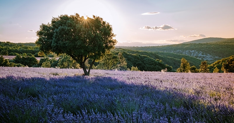 15 choses à faire absolument en Ardèche