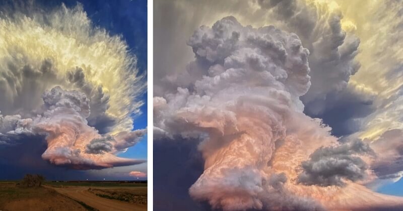 Elle photographie un nuage d'orage baigné par les rayons du coucher du soleil 