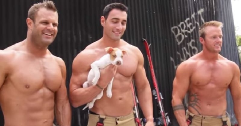 Des pompiers posent torse nu aux côtés d'animaux, le tout pour la bonne cause