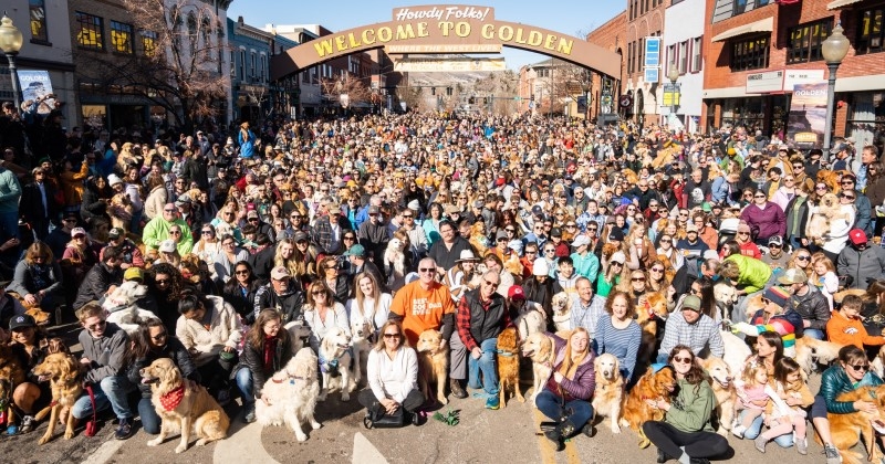 Cette photo de 1 000 Golden Retrievers réunis pour un événement spécial va faire rêver les amoureux de chiens