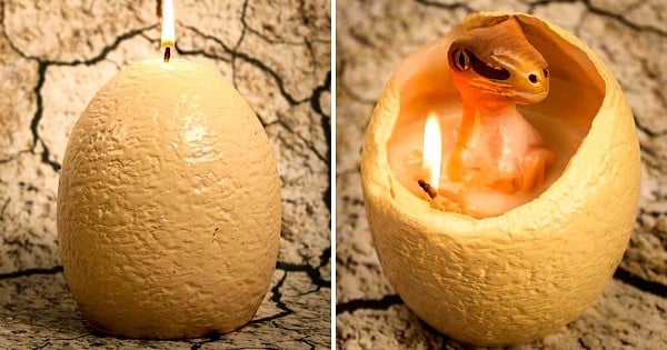Cette bougie en forme d'oeuf de dinosaure éclôt d'un bébé velociraptor quand elle fond ! Tout simplement bluffant...
