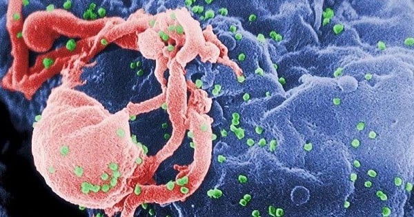 Un britannique pourrait avoir guéri pour la première fois du VIH... Une première victoire contre la maladie ?