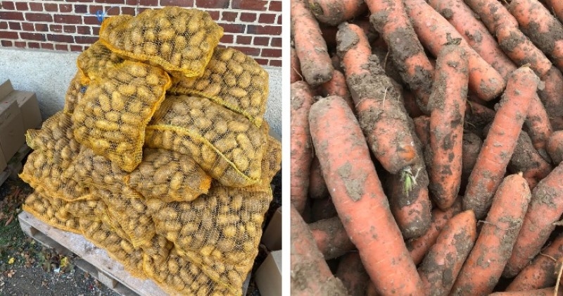 Oise : les supermarchés refusent ses légumes bio, cet agriculteur les vend 1 euro le kilo pour éviter le gaspillage