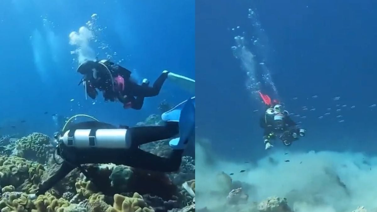 Ces images incroyables montrent les effets d'un tremblement de terre sous l'eau, une vidéo terrifiante