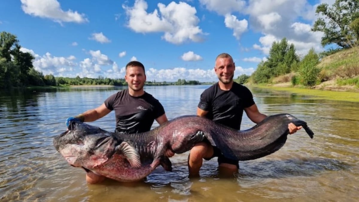 « On n'en pouvait plus » : deux pêcheurs remontent un véritable monstre marin 