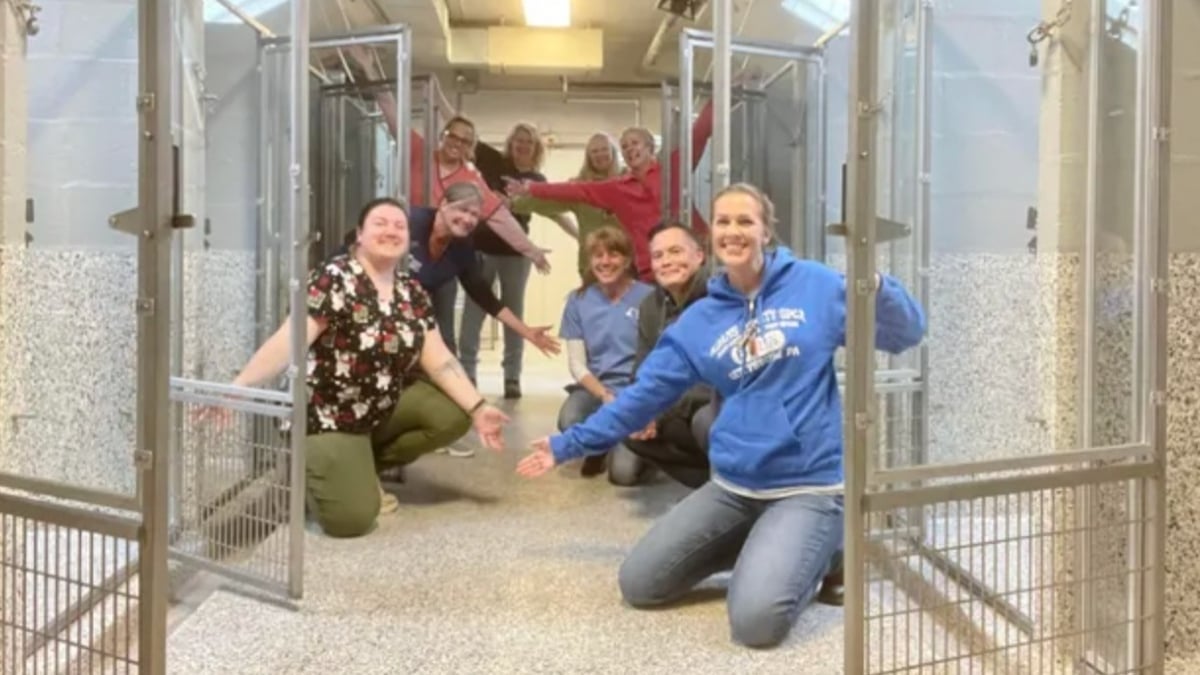 États-Unis : un refuge pour animaux est vide pour la première fois de son histoire 