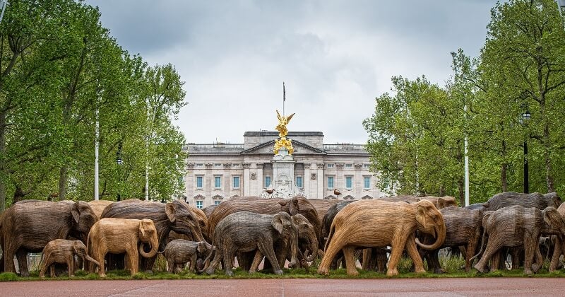 À Londres, des troupeaux d'éléphants investissent la ville pour défendre l'environnement