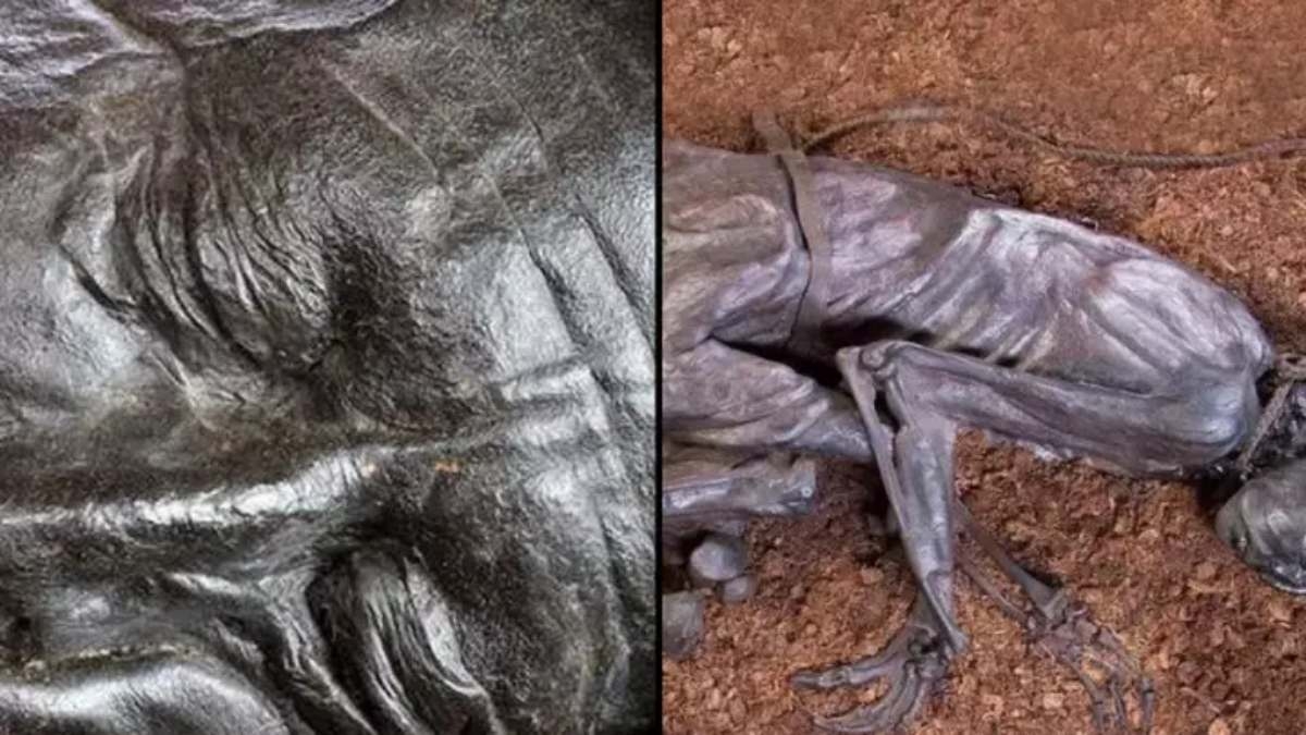 Des scientifiques font une découverte troublante dans l'estomac d'un corps vieux de 2400 ans