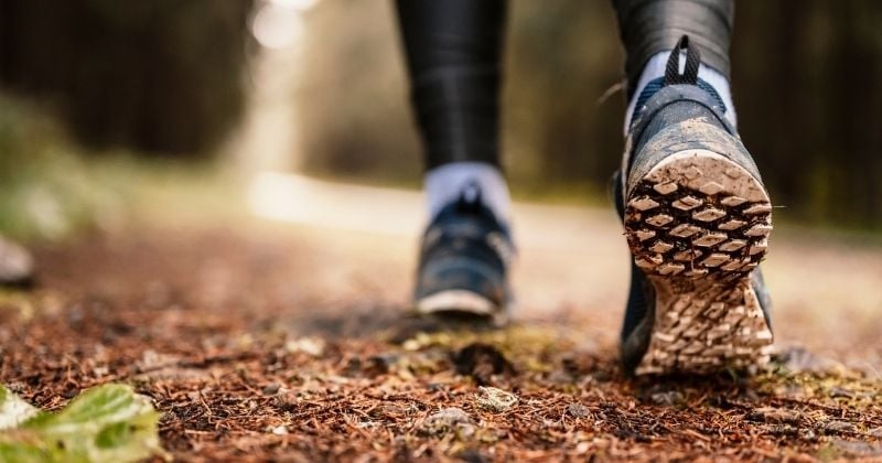 La joggeuse de 17 ans, disparue lundi soir, a été retrouvée vivante après avoir, dit-elle, échappé à ses ravisseurs