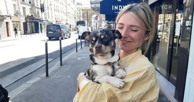 Paris : elle retrouve son chien volé en pleine rue, à 800km de distance, après une semaine de séparation 