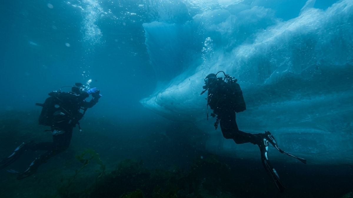 Explorateurs sous-marins