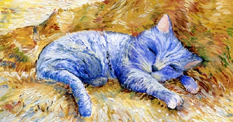 Des chats s'installent dans les tableaux les plus célèbres de Van Gogh, Gustav Klimt ou Picasso