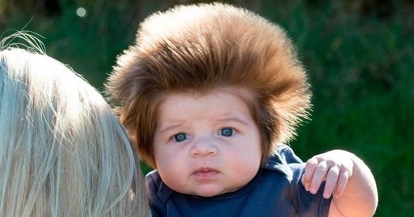 Avec sa touffe de cheveux incroyable, ce bébé est devenu la nouvelle star d'internet