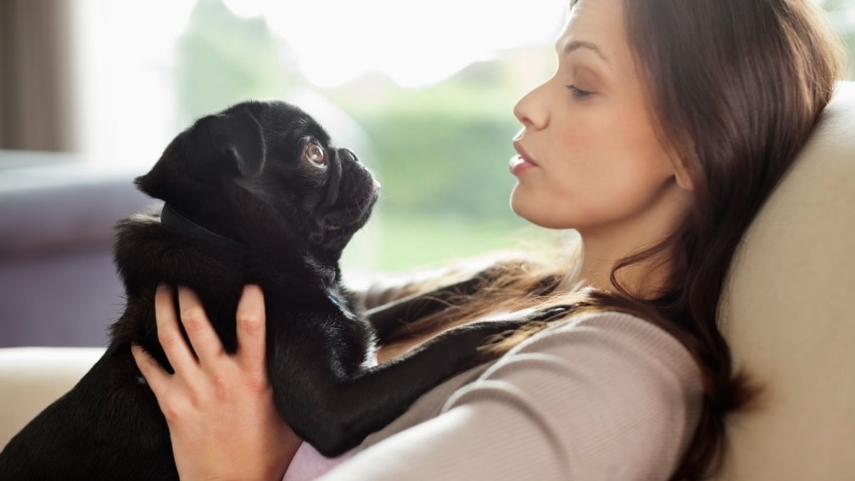 Selon une étude, les chiens préfèrent les voix des femmes et voici pourquoi
