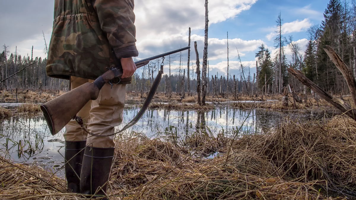 Les violences contre les chasseurs explosent, avec 229 cas ces derniers mois