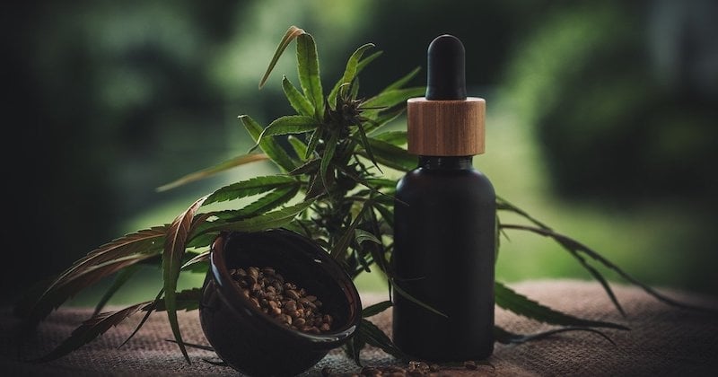 CBD : comment agit-il sur le cerveau ?