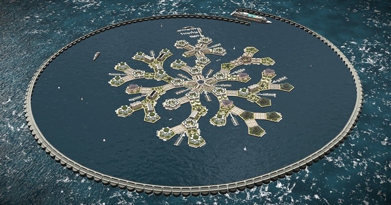 Des libertariens ont pour objectif de créer une ville flottante en Polynésie française pour réaliser de grandes avancées scientifiques 