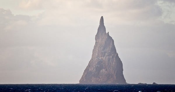 Un Géant que l'on pensait disparu a trouvé une cachette secrète sur un rocher au milieu de l'océan... Et il y est resté caché, pendant plus de 80 ans.