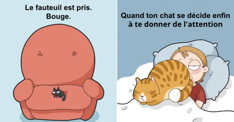 15 comportements agaçants des chats illustrés avec humour