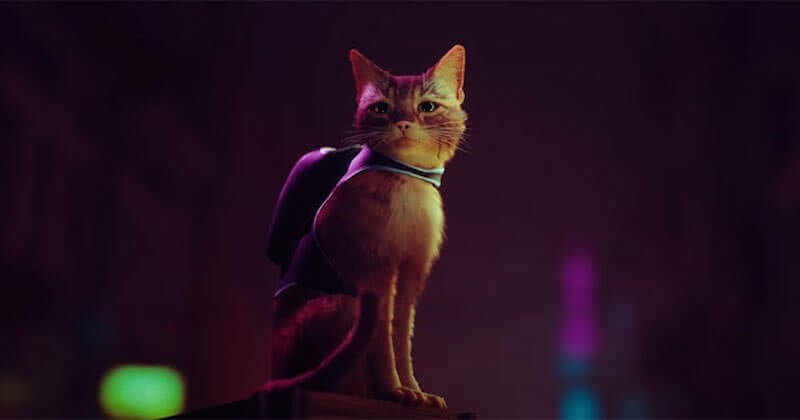 Stray, le jeu PS5 qui vous fera incarner un chat détective dans un monde de robots