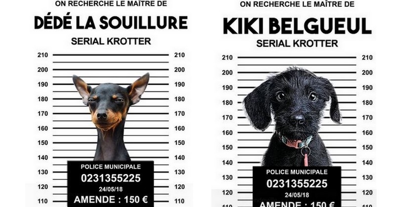 À Mondeville, des avis de recherche très drôles rappellent aux maîtres qu'il faut ramasser les déjections de leurs chiens